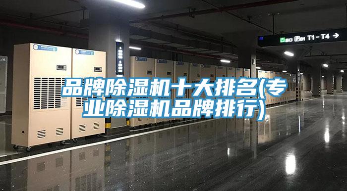 品牌91看片软件大全十大排名(專業91看片软件大全品牌排行)