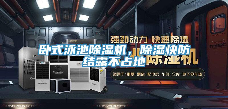 臥式泳池91看片软件大全，除濕快防結露不占地