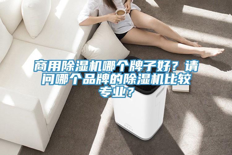 商用91看片软件大全哪個牌子好？請問哪個品牌的91看片软件大全比較專業？