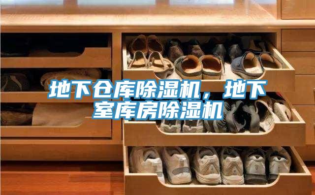 地下倉庫91看片软件大全，地下室庫房91看片软件大全