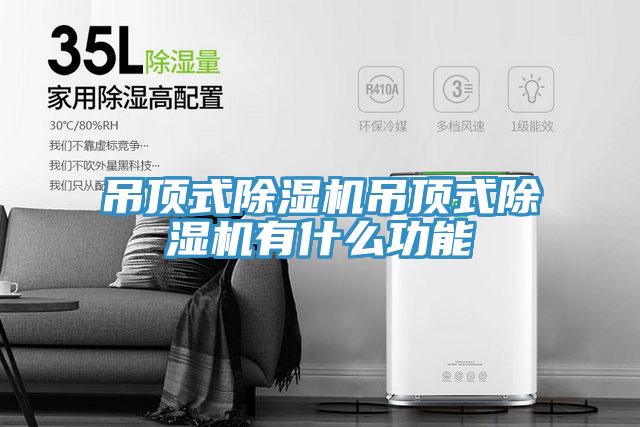 吊頂式91看片软件大全吊頂式91看片软件大全有什麽功能