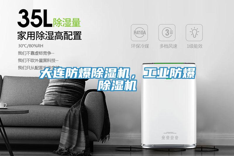 大連防爆91看片软件大全，工業防爆91看片软件大全