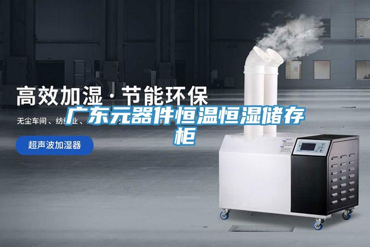 廣東元器件恒溫恒濕儲存櫃