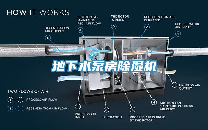 地下水泵房91看片软件大全