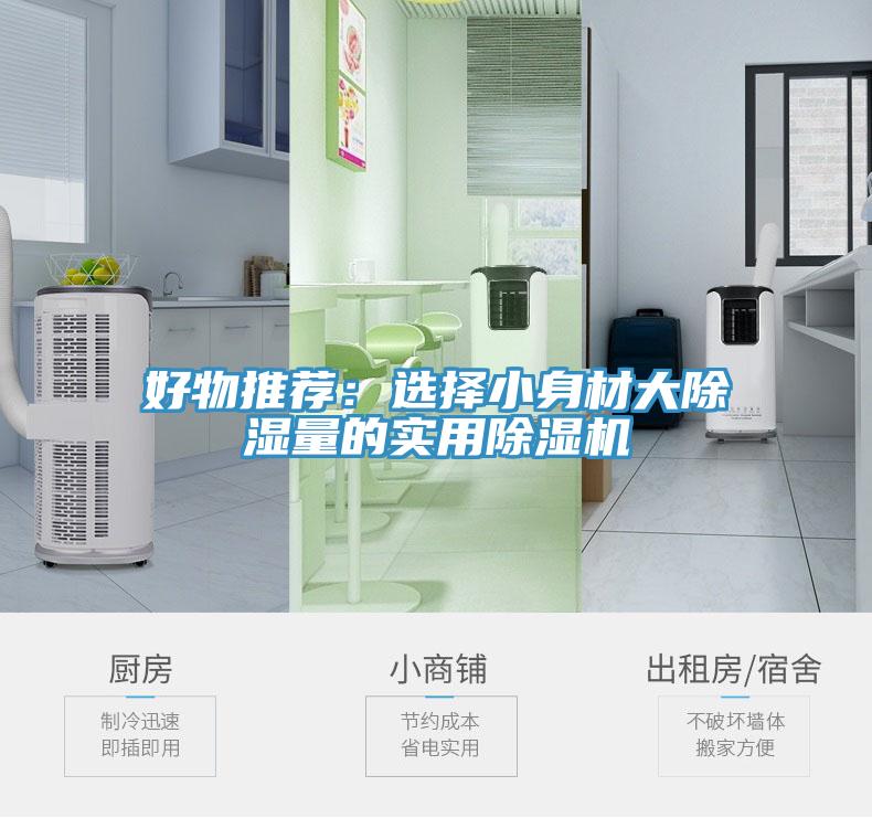 好物推薦：選擇小身材大除濕量的實用91看片软件大全