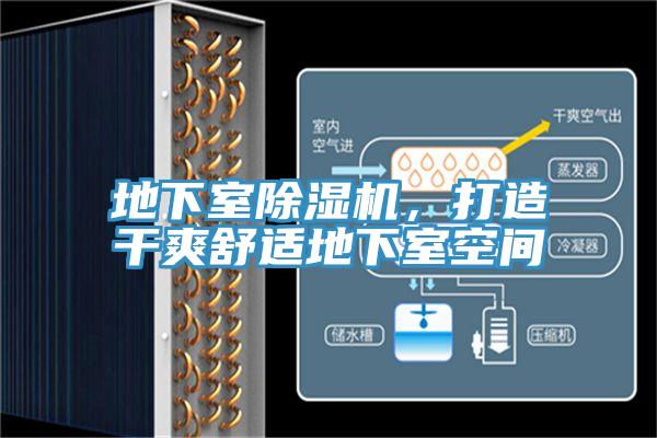 地下室91看片软件大全，打造幹爽舒適地下室空間