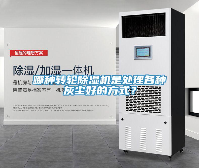 哪種轉輪91看片软件大全是處理各種灰塵好的方式？
