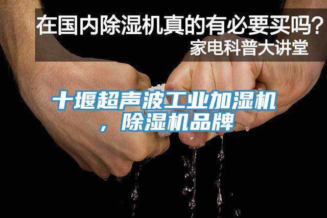 十堰超聲波工業加濕機，91看片软件大全品牌