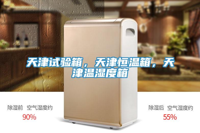 天津試驗箱，天津恒溫箱，天津溫濕度箱