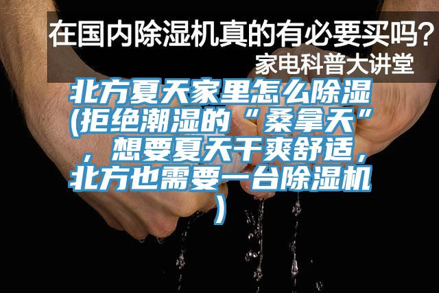 北方夏天家裏怎麽除濕(拒絕潮濕的“桑拿天”，想要夏天幹爽舒適，北方也需要一台91看片软件大全)
