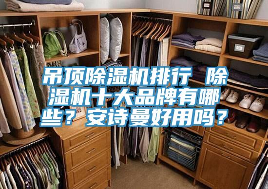 吊頂91看片软件大全排行 91看片软件大全十大品牌有哪些？91AV手机看片好用嗎？