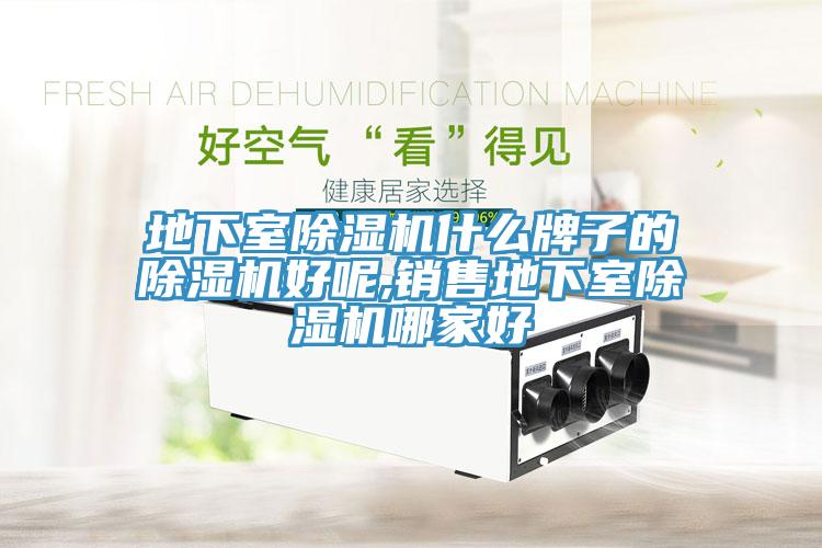 地下室91看片软件大全什麽牌子的91看片软件大全好呢,銷售地下室91看片软件大全哪家好