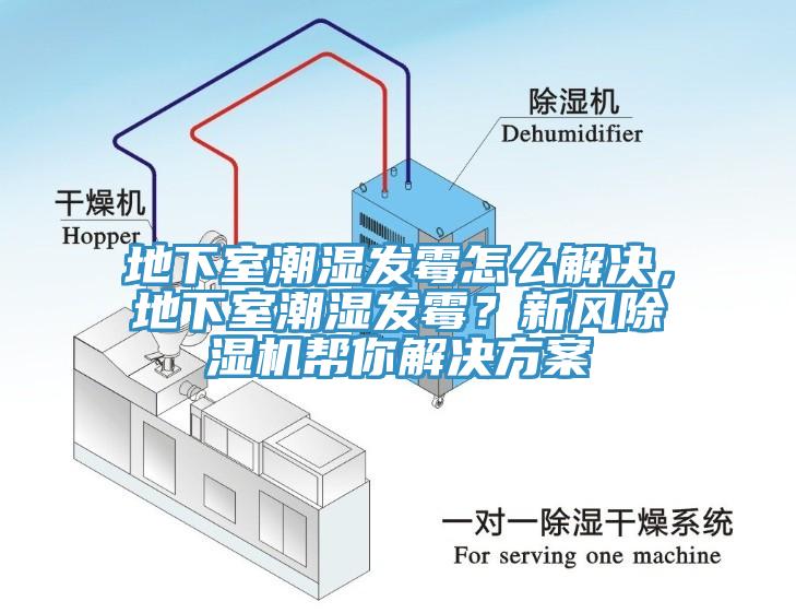 地下室潮濕發黴怎麽解決，地下室潮濕發黴？新風91看片软件大全幫你解決方案
