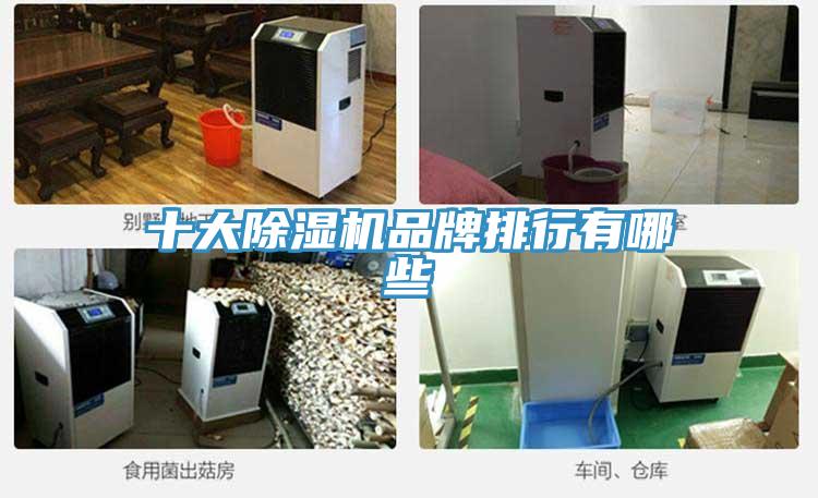 十大91看片软件大全品牌排行有哪些