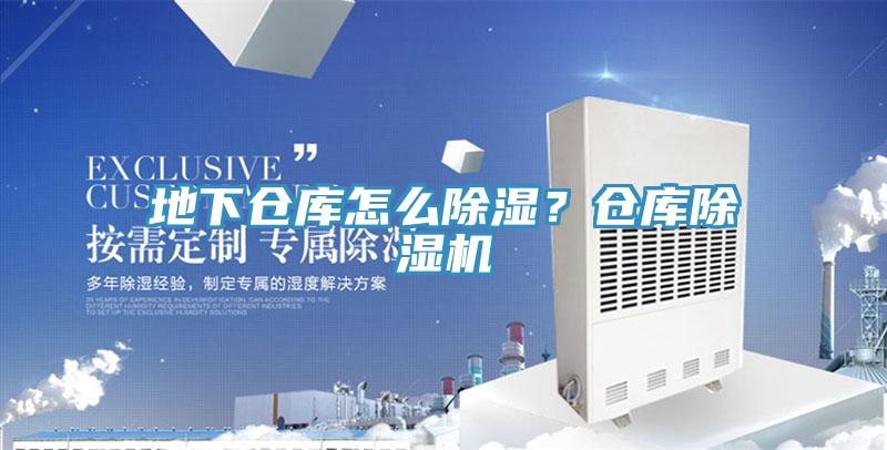 地下倉庫怎麽除濕？倉庫91看片软件大全