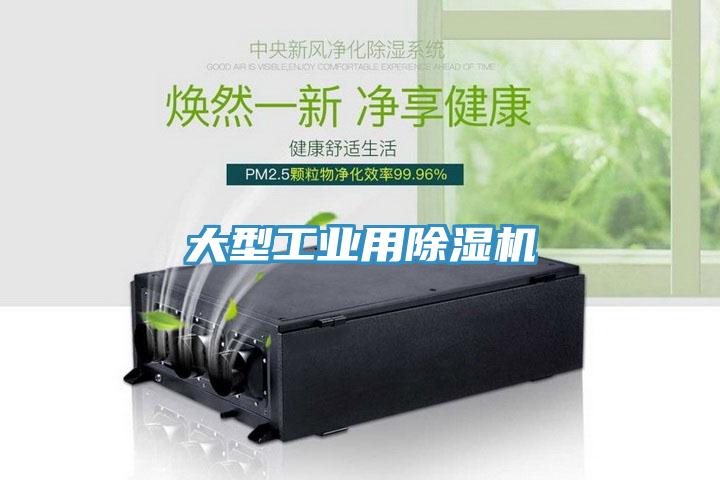 大型工業用91看片软件大全