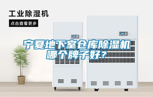 寧夏地下室倉庫91看片软件大全哪個牌子好？