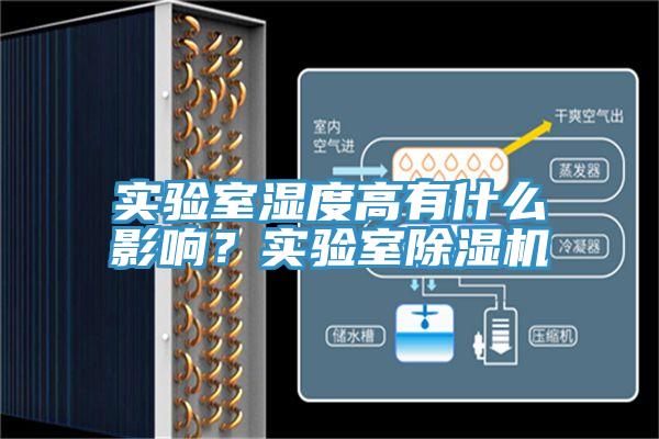 實驗室濕度高有什麽影響？實驗室91看片软件大全