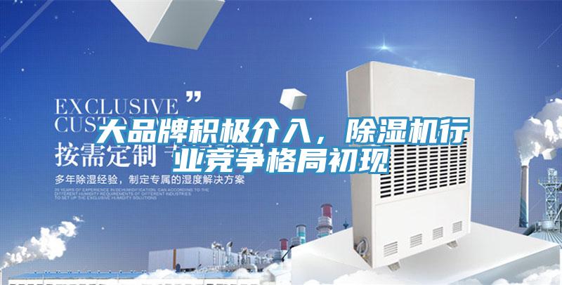 大品牌積極介入，91看片软件大全行業競爭格局初現