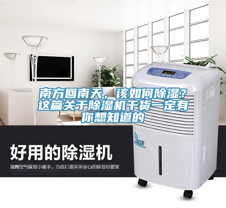 南方回南天，該如何除濕？這篇關於91看片软件大全幹貨一定有你想知道的