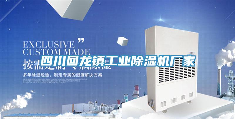 四川回龍鎮工業91看片软件大全廠家