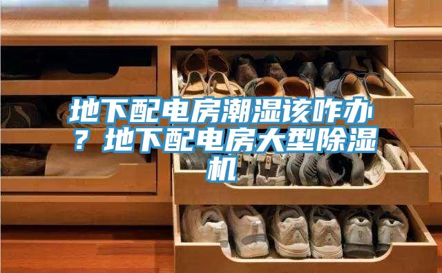 地下配電房潮濕該咋辦？地下配電房大型91看片软件大全