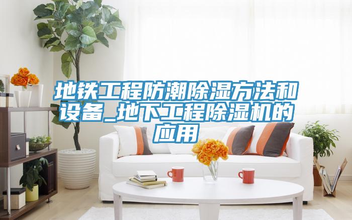地鐵工程防潮除濕方法和設備_地下工程91看片软件大全的應用