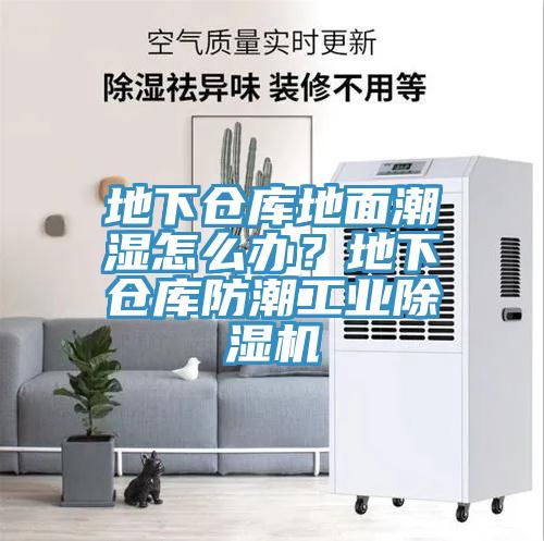 地下倉庫地麵潮濕怎麽辦？地下倉庫防潮工業91看片软件大全