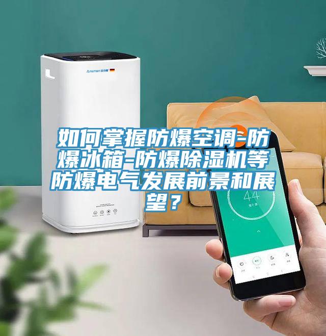 如何掌握防爆空調-防爆冰箱-防爆91看片软件大全等防爆電氣發展前景和展望？