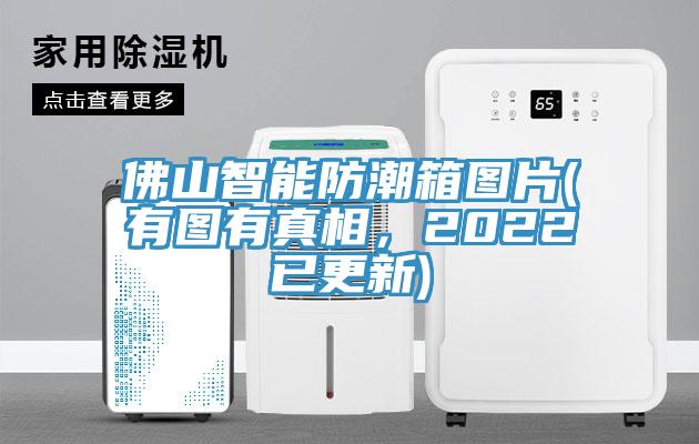 佛山智能防潮箱圖片(有圖有真相，2022已更新)