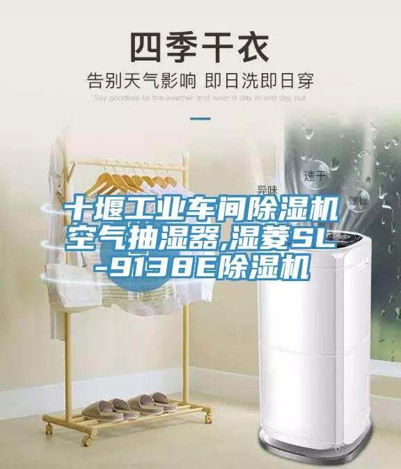 十堰工業車間91看片软件大全空氣抽濕器,濕菱SL-9138E91看片软件大全