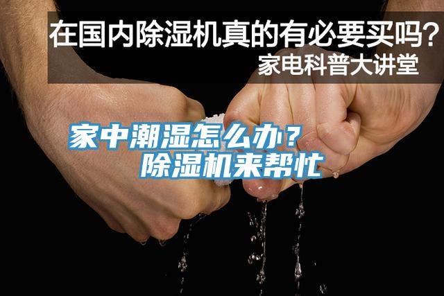 家中潮濕怎麽辦？    91看片软件大全來幫忙