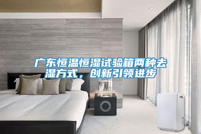 廣東恒溫恒濕試驗箱兩種去濕方式，創新引領進步
