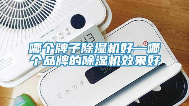 哪個牌子91看片软件大全好—哪個品牌的91看片软件大全效果好