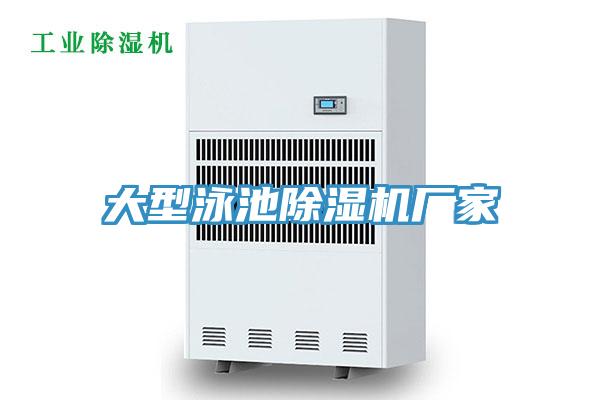 大型泳池91看片软件大全廠家