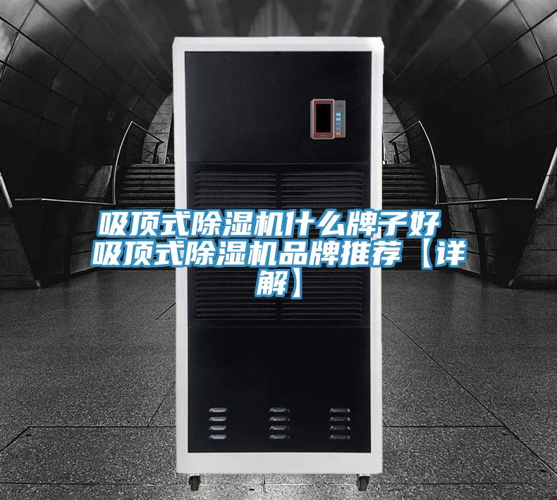 吸頂式91看片软件大全什麽牌子好 吸頂式91看片软件大全品牌推薦【詳解】