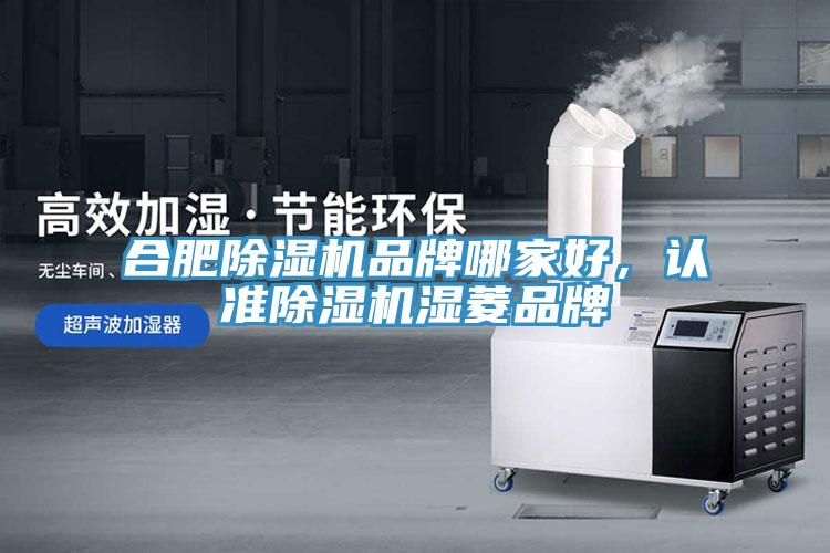 合肥91看片软件大全品牌哪家好，認準91看片软件大全濕菱品牌