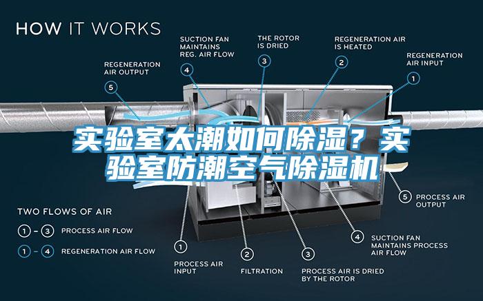 實驗室太潮如何除濕？實驗室防潮空氣91看片软件大全