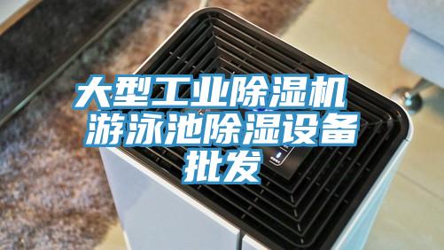 大型工業91看片软件大全 遊泳池除濕設備批發
