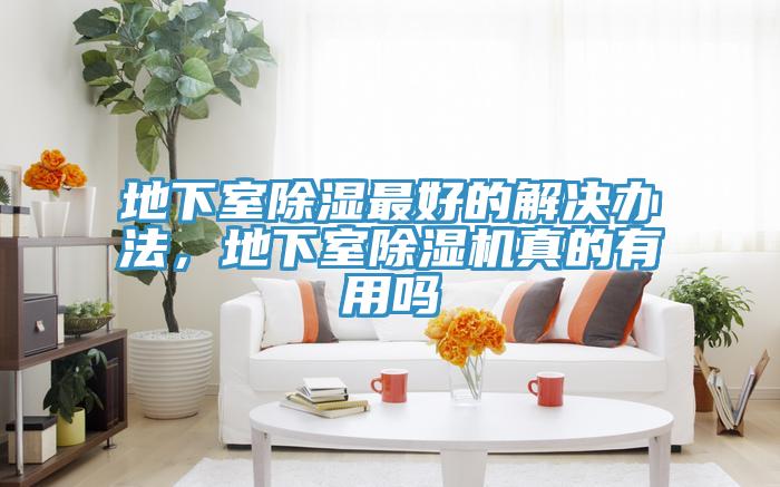 地下室除濕最好的解決辦法，地下室91看片软件大全真的有用嗎