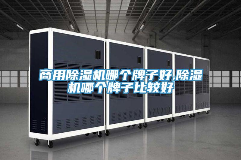商用91看片软件大全哪個牌子好,91看片软件大全哪個牌子比較好