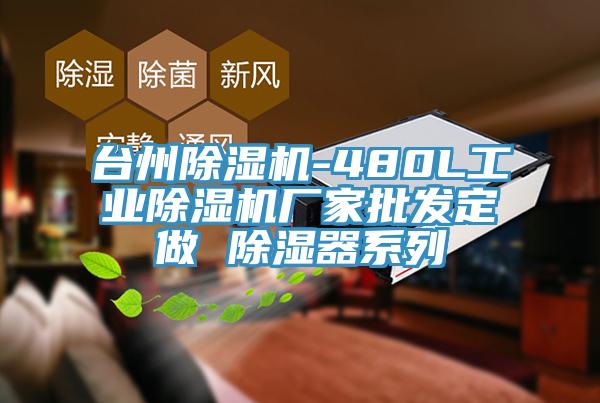 台州91看片软件大全-480L工業91看片软件大全廠家批發定做 除濕器係列