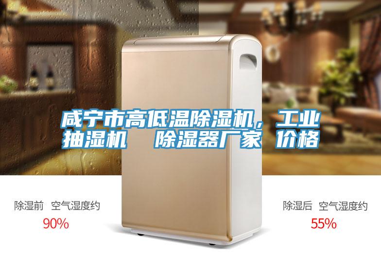 鹹寧市高低溫91看片软件大全，工業抽濕機  除濕器廠家 價格