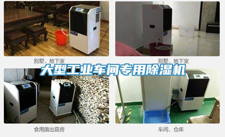 大型工業車間專用91看片软件大全