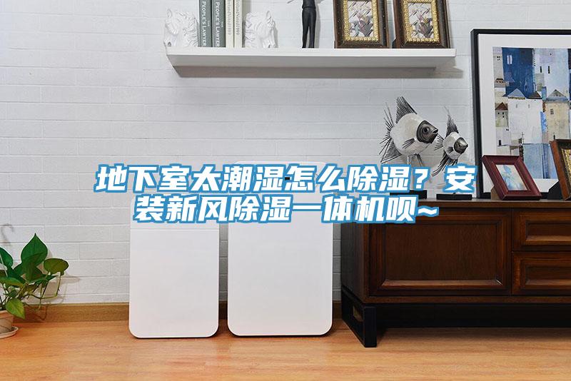 地下室太潮濕怎麽除濕？安裝新風除濕一體機唄~