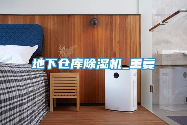 地下倉庫91看片软件大全_重複