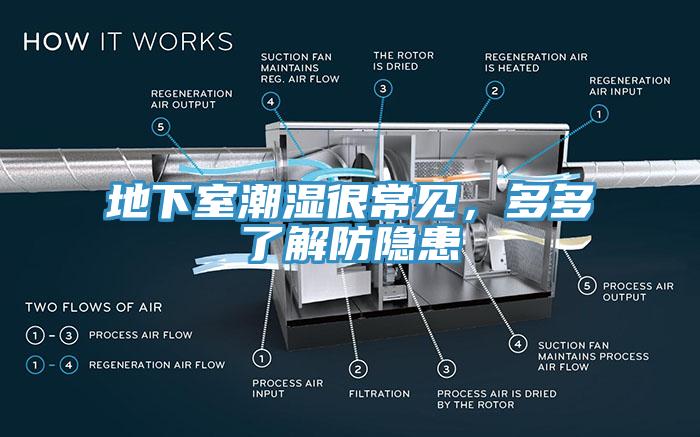 地下室潮濕很常見，多多了解防隱患