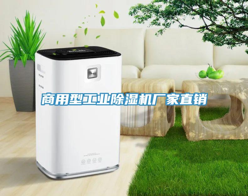 商用型工業91看片软件大全廠家直銷