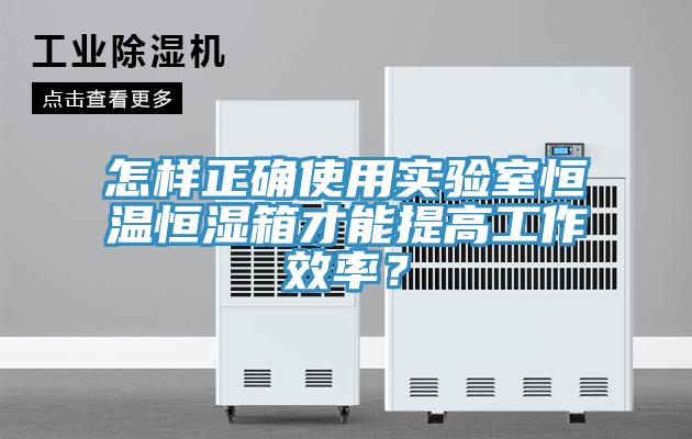 怎樣正確使用實驗室恒溫恒濕箱才能提高工作效率？