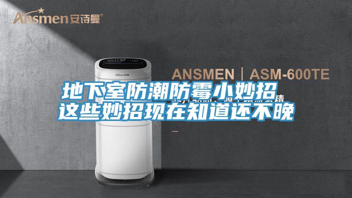 地下室防潮防黴小妙招 這些妙招現在知道還不晚